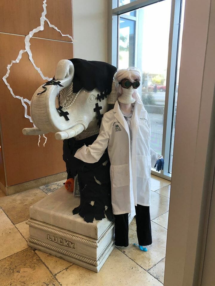 Luckiphant